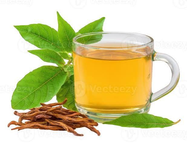Tulsi Green Herbal Tea