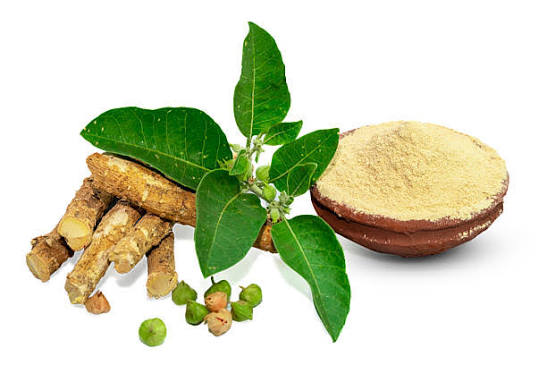 Ashwagandha Herbal Extract